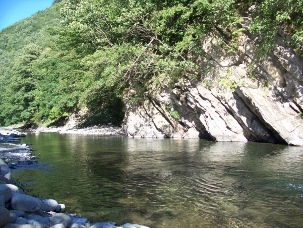  Image name: Fiume01.jpg 
 width: 601 pixel 
 height: 452 pixel 
 Size: 329191 bytes 
 Click to enlarge 